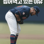 롯데 감보아